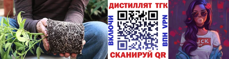 Купить где  Петрозаводск  Дистиллят ТГК концентрат 